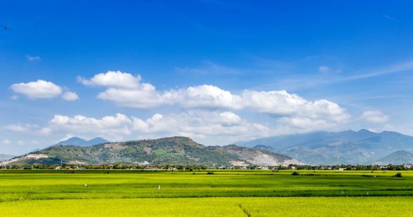 ふるさと納税の在り方と想いについて考える。