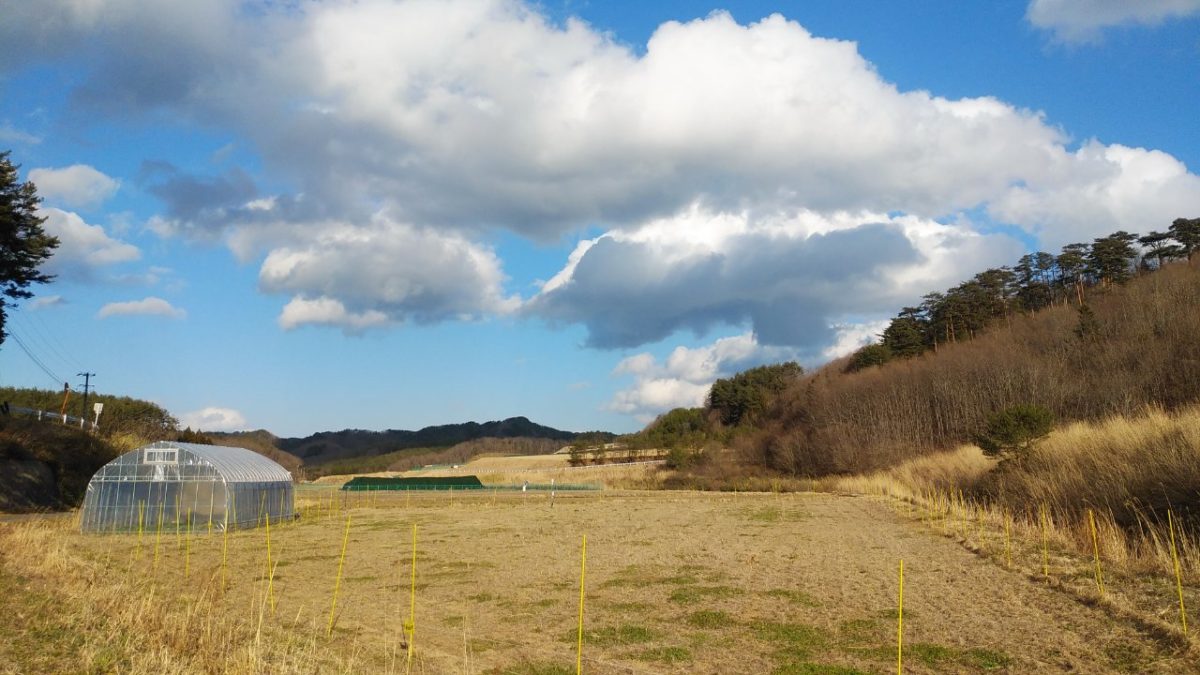 未来へのギフト　～ウルシネクストの「漆の森づくり」～