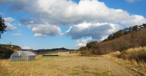 未来へのギフト　～ウルシネクストの「漆の森づくり」～