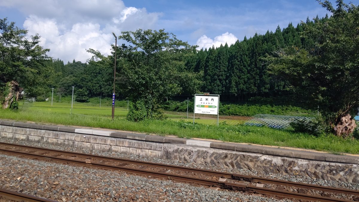 国産漆を後世につなげていくための「漆の森づくり」