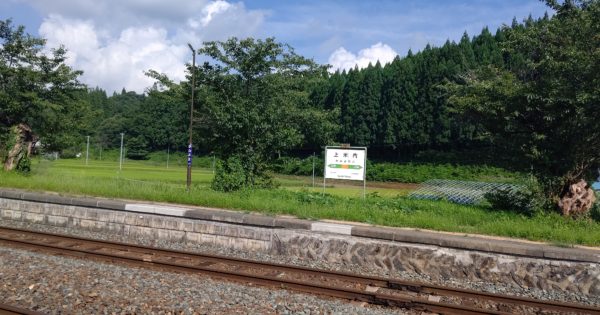 国産漆を後世につなげていくための「漆の森づくり」