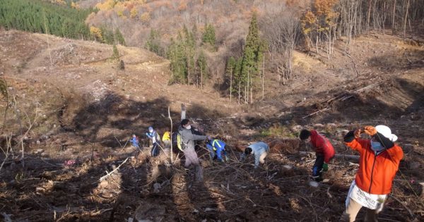 日本が世界に誇るサステナブルな天然素材「漆」を後世に！