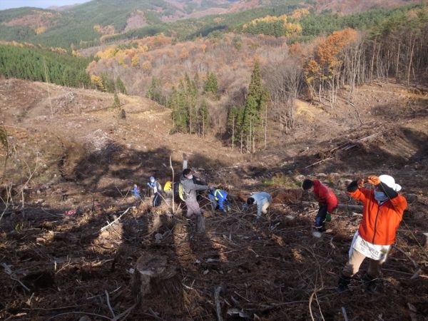 日本が世界に誇るサステナブルな天然素材「漆」を後世に！