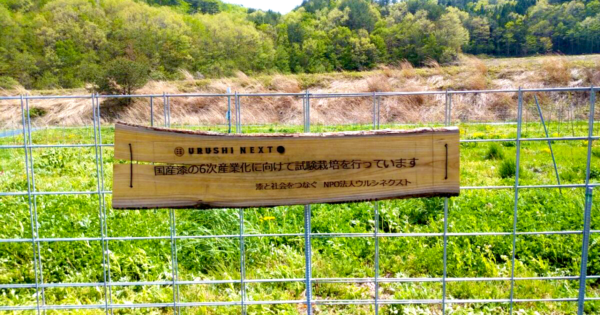 サステナブルな天然素材「漆」を後世に！　漆の未来を次の世代に！