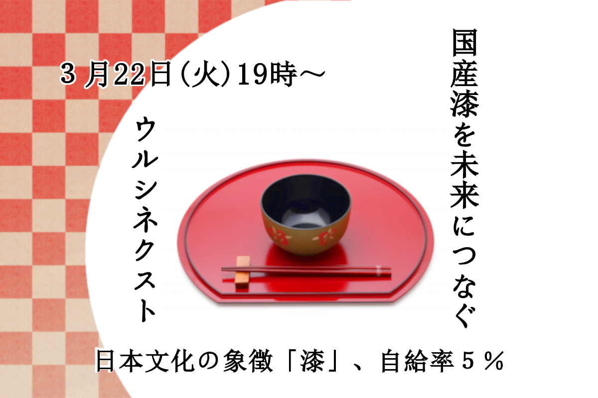 国産漆を未来につなぐウルシネクスト