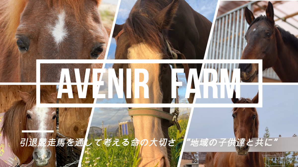 引退競走馬を通して考える命の大切さ－地域の子どもたちとともに－