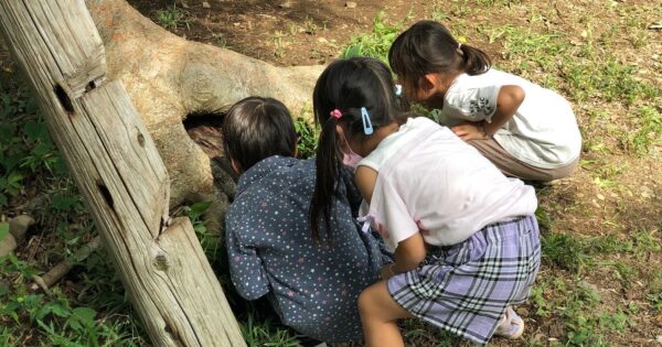 みんなと今を生きる場所 ーならはらの森なかの学舎ー