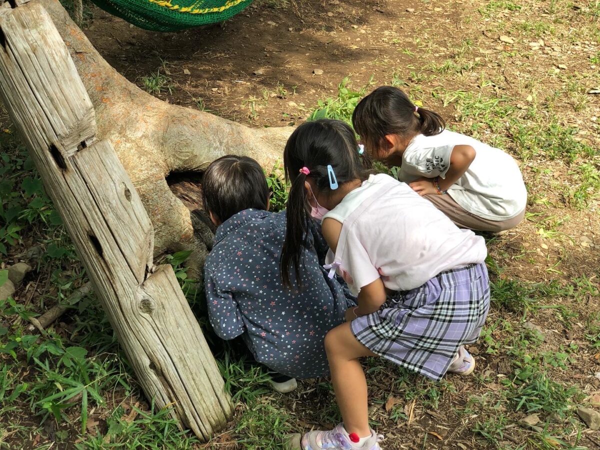 みんなと今を生きる場所 ーならはらの森なかの学舎ー