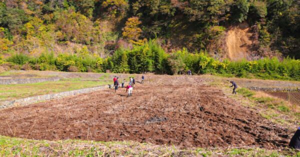ウルシネクストの「漆の森づくり」ー新たな植栽地で見た課題ー