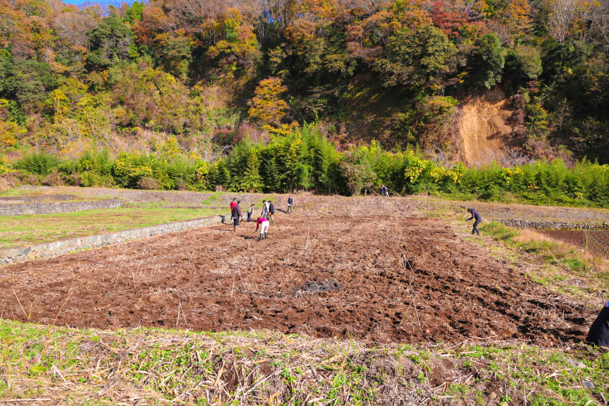 ウルシネクストの「漆の森づくり」ー新たな植栽地で見た課題ー