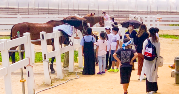 2022年度事業完了のご報告（NPO法人アヴニールファーム）