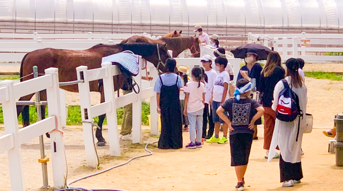 2022年度事業完了のご報告（NPO法人アヴニールファーム）