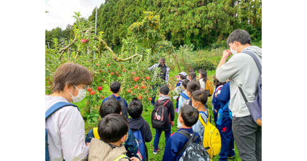 2022年度事業完了のご報告（NPO法人LAMP）