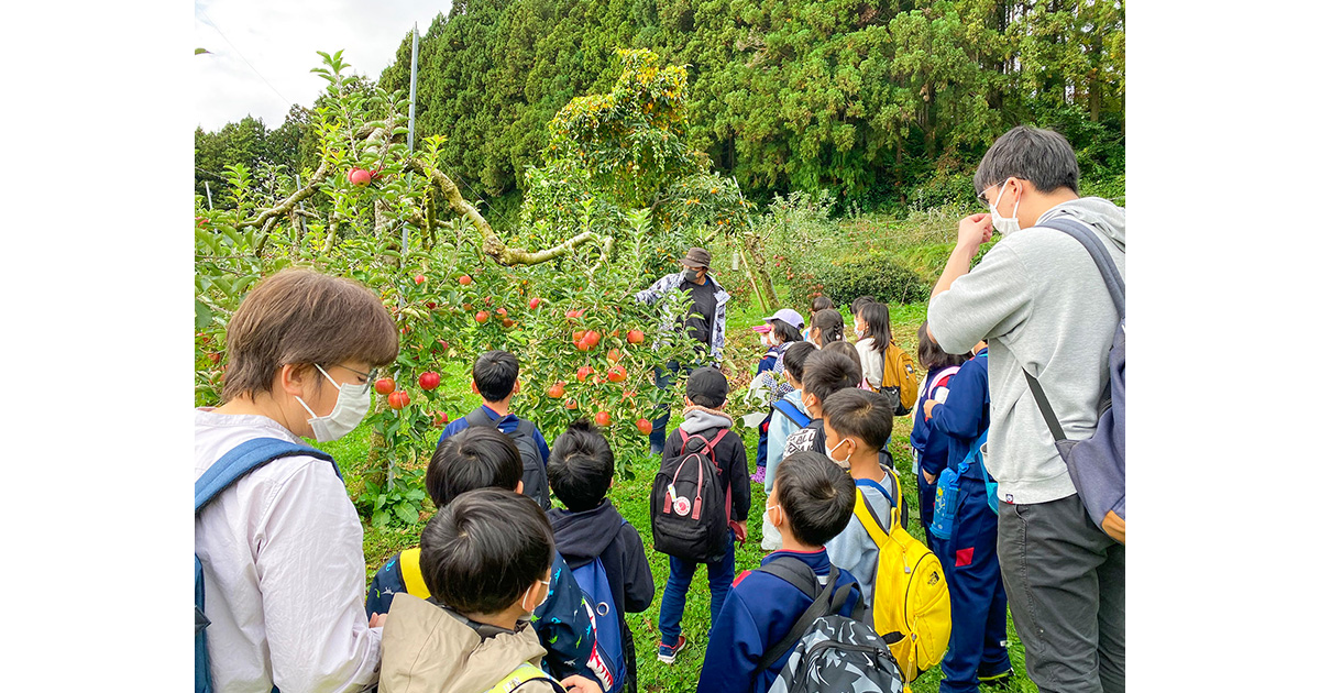 2022年度事業完了のご報告（NPO法人LAMP）