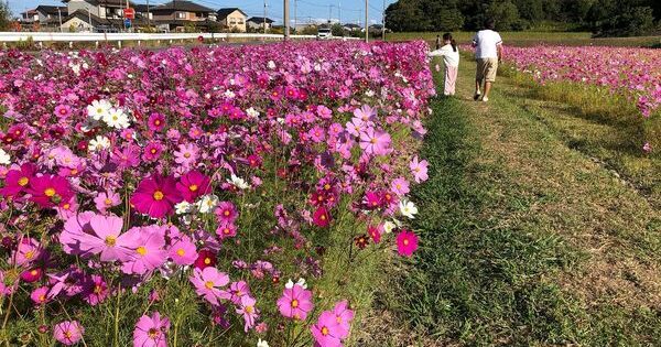 2023年度事業完了のご報告（NPO法人クリエイト）